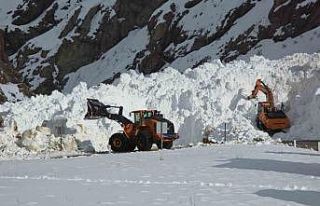 Van-Hakkari kara yolunda çığ sonrası çalışmalar...
