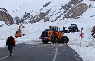 Van-Hakkari karayolunda çığ: Çok sayıda araç...
