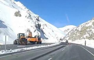 Van-Hakkari yolu yeniden ulaşıma açıldı
