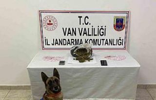 Van’da 1 kilo 64 gram skunk maddesi ele geçirildi