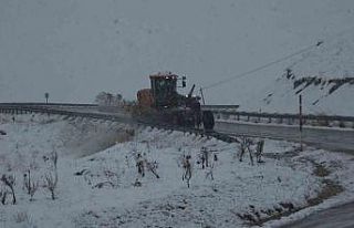 Van’da 21 yerleşim yerinin yolu ulaşıma kapandı