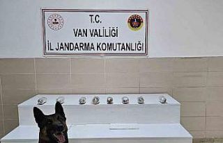 Van’da uyuşturucu madde ele geçirildi