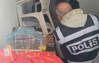 Yabancı turistlerin kredi kartlarını kötü amaçlı...