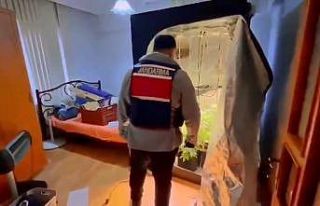 Yalova’da evinde uyuşturucu yetiştiren şüpheli...