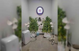 Yalova’da saklandığı evde uyuşturucu yetiştiren...