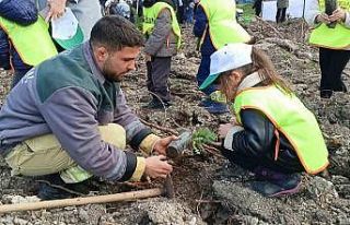 Yanan sahada geleceğe nefes: Aliağa’da yeni orman...