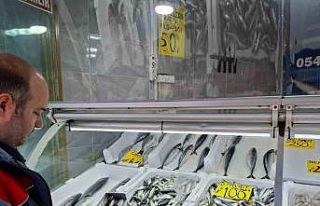 Yasak öncesi balık satış yerleri denetlendi