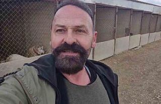 Yavru kangal gönlünü Sibirya kurduna kaptırdı