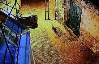 Yokuşu çıkamayan elektrikli bisiklet devrildi