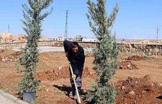 Yukarıgöklü Kent Parkı yeşile bürünüyor