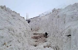 Yüksekova’da çığ meyve bahçelerini yuttu: Köy...