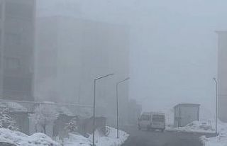 Yüksekova’da yoğun sis seyirlik görüntüler...