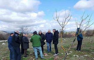 Yuntdağı’nda kırsal kalkınma atağı