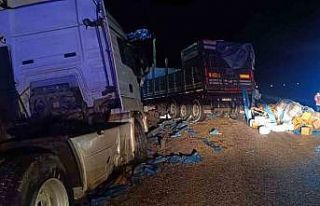 Zirai gübre yüklü tır devrildi: 1 yaralı