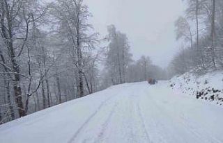 Zirvede kar eğlencesi: Bidonlarla kaydılar, traktörle...