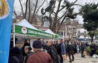 Zonguldak’ta ücretsiz fidan dağıtımı kalabalığa...