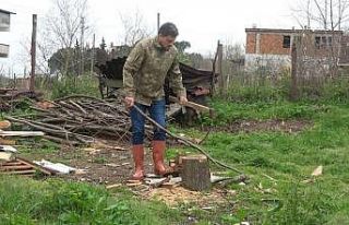 110 koyun gitti, 3 yıldır para yok: Dolandırıcılar...