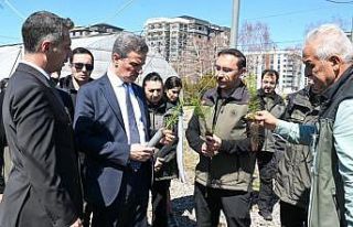 22 yılda 109 milyon 508 bin adet fidan toprakla buluştu