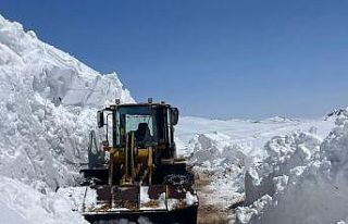 2443 rakımda kar mesaisi