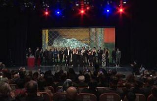 32 sanatçı, sokak hayvanları için tek bir şarkıda...