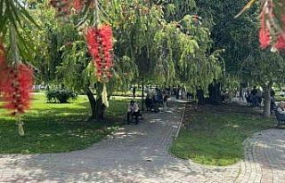 Adana’da termometreler 41 dereceyi gösterdi