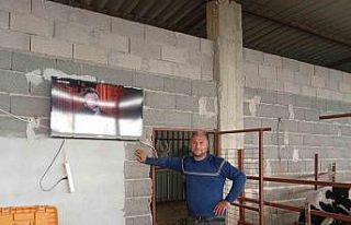 Adanalı üreticiden süt verimi için ilginç yöntem