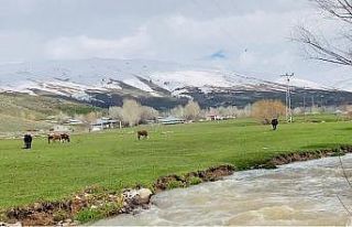 Ağrı’da iki mevsim bir arada