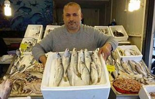 Akdeniz’de av yasağı başlıyor