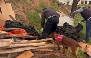 Aksaray’da çuval içine gizlenmiş 11 bin adet...