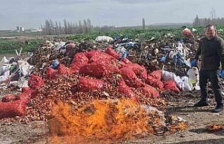 Alaca’da kaçak sigara ve alkol yakılarak imha...