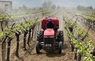 Alaşehir’de "3K Bağcılık" ile kalıntısız...