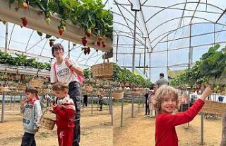 ALKÜ’lü minikler fidan dikip çilek topladı