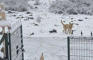 Ankara’ya nisan ayında kar yağdı