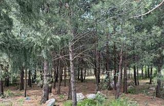 Anne ve oğlunu öldüren katil akrabaların çaldıkları...