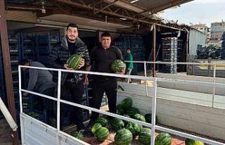 Antalya’da sezonun ilk karpuz hasadı yapıldı
