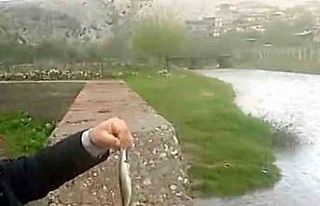 Araban’da Ardıl Çayı yıllar sonra yeniden aktı