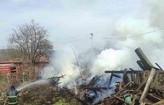 Araç yangını odunluğa sıçradı