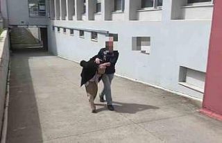 Aracında 825 kilo bonzai yapılacak ham madde yakalattı:...