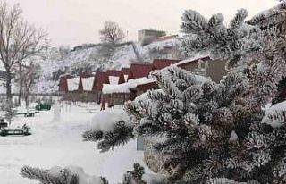 Ardahan’da kar sonrası dondurucu soğuklar etkili...