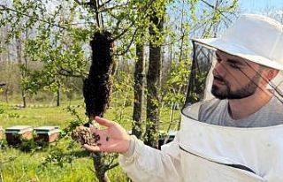 Arıcılara sahada destek
