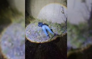 Artvin’de 70 metrelik duvardan düşen kişi hayatını...