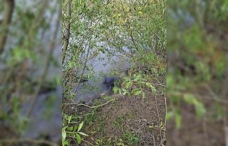 Asi Nehrinde kimliği belirsiz erkek cesedi bulundu
