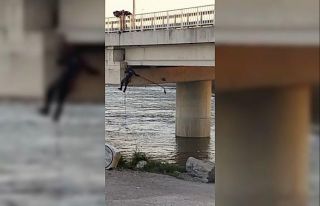 Asılı kalan güvercini halatla inip kurtardılar