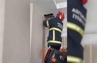 Asma tavanda sıkışan 4 yavru kedi kurtarıldı