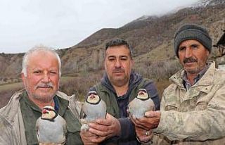 Atadan toruna kalan miras: "Baskın keklik"...