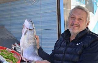 Av sezonu bitse de tezgahlar balıksız kalmıyor