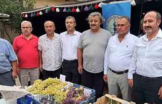 Avşar Üzümü coğrafi işaretle tescillendi