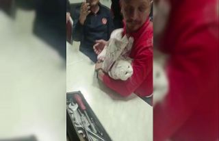 Ayağı lavabo giderine sıkışan kediyi itfaiye...