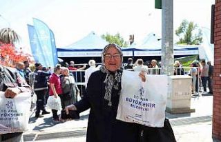 Aydın Büyükşehir Belediyesi binlerce fideyi Nazilli’de...