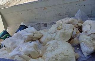 Aydın’da 11 ton süt ürünü imha edildi